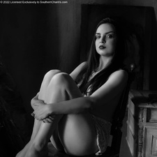Photo Issue 85