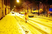 Photo Issue 1192