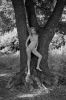 Photo Issue 288